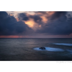 dailyPhoto26